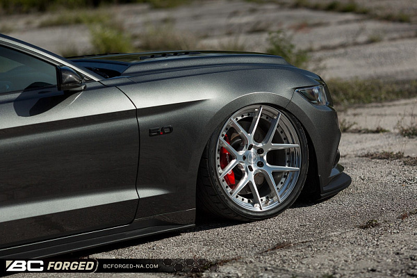 Фото дисков BC Forged HCS02 Глянцевый лак на Ford Mustang VI
