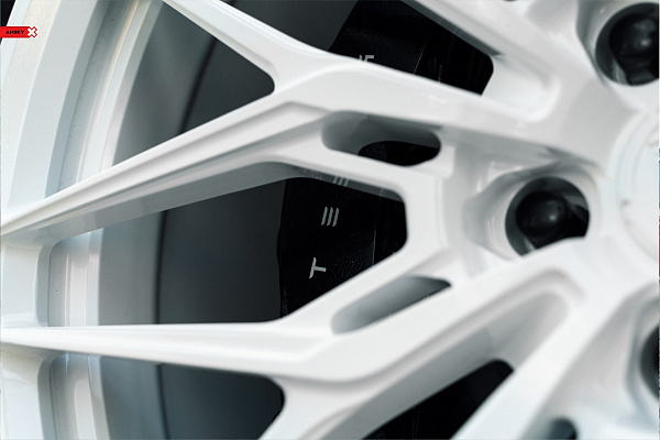 Фото дисков Anrky S1-X1 Белый глянец на Tesla Model S