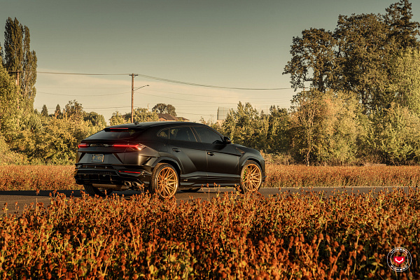 Фото дисков Vossen EVO-5 Глянцевое золото на Lamborghini Urus