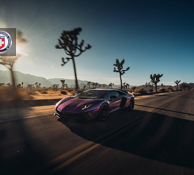 Фото дисков HRE P201 на Lamborghini Aventador
