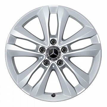 Кованые диски Mercedes-Benz 5 Twin Spoke v17