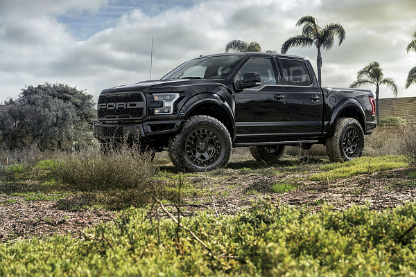 Фото дисков Black Rhino YORK Черный сатин на Ford F-150 XIV