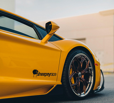 Фото дисков HRE S111SC на Lamborghini Aventador