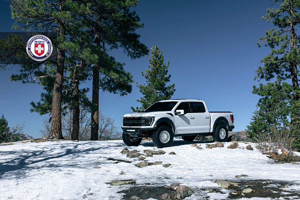 Фото дисков HRE 501M Глянцевый лак на Ford F-150 XIV