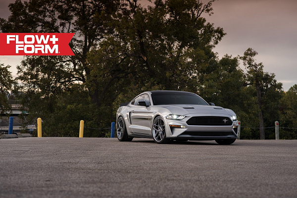 Фото дисков HRE FF11 Глянцевый тонированный лак на Ford Mustang VI