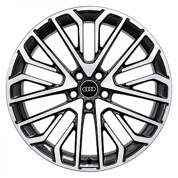 Кованые диски Audi 5 Multi Spoke S