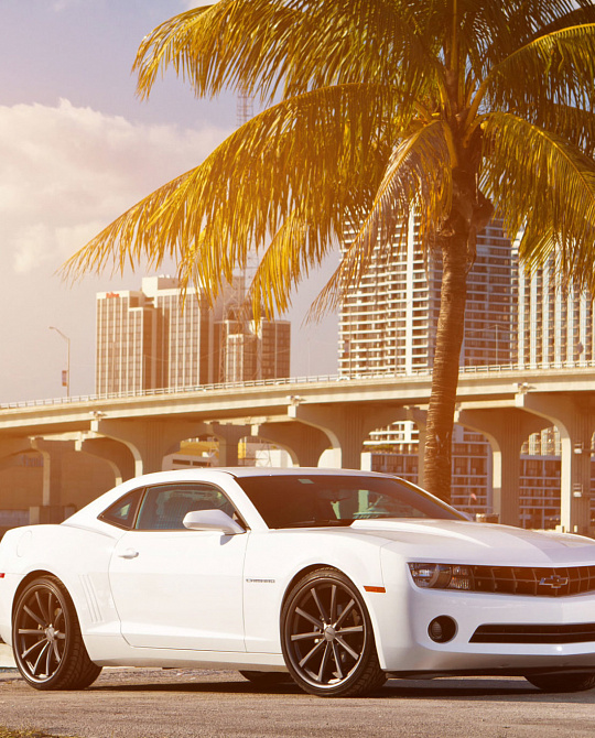 Фото дисков CV1 Сатиновый графит на Chevrolet Camaro V