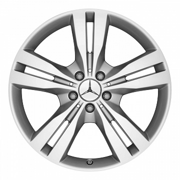 Кованые диски Mercedes-Benz 5 Twin Spoke v6