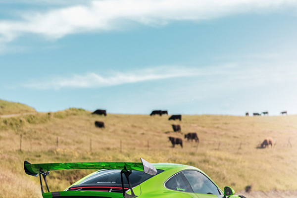 Фото дисков Brixton Forged PF7-RS Сатиновый темный лак на Porsche 911 VII