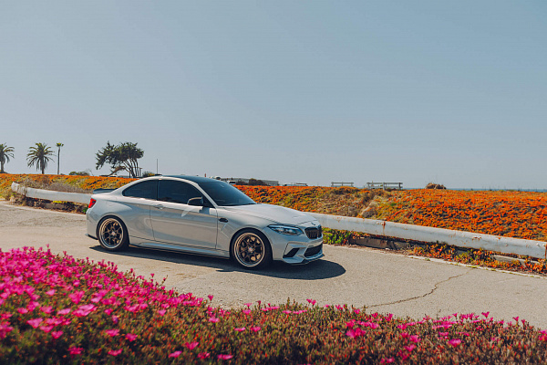 Фото дисков HRE 521 Сатиновая бронза на BMW 2/M2 (F22/F87)