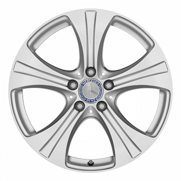 Кованые диски Mercedes-Benz 5 Spoke v20