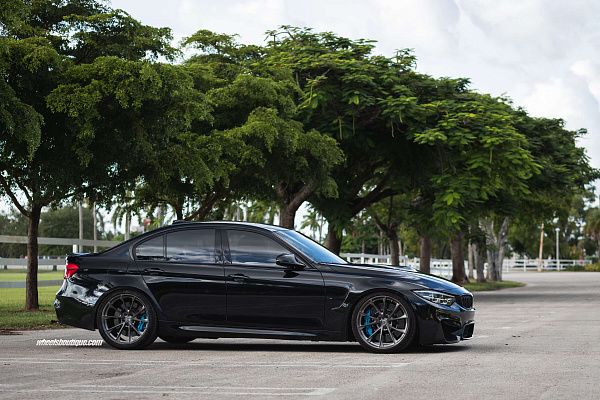 Фото дисков HRE P204 Глянцевый темный лак на BMW 3/M3 (F3x/F80)