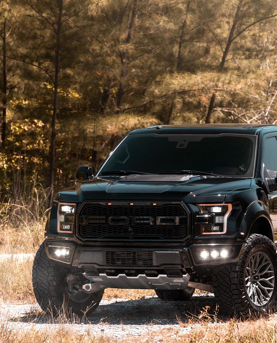 Фото дисков S17-02 Матовый графит на Ford F-150 XIII