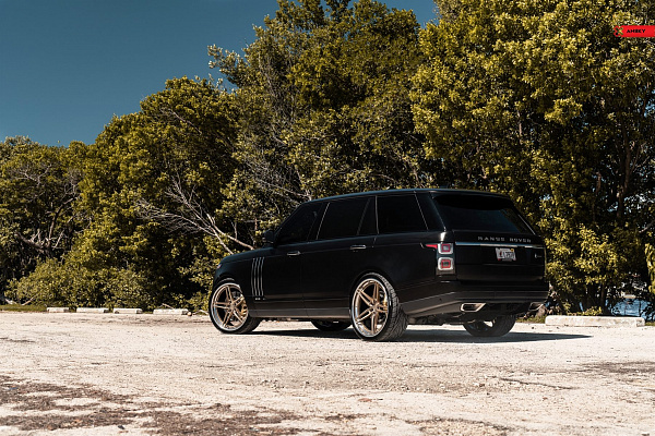 Фото дисков Anrky AN37 Глянцевое темное золото на Range Rover IV