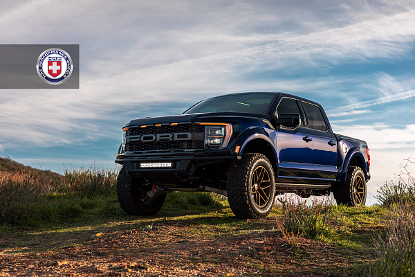 Фото дисков HRE P161SC Сатиновая бронза на Ford F-150 XIV