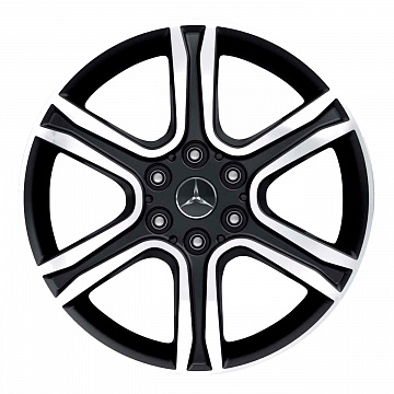 Кованые диски Mercedes-Benz 6 Twin Spoke v1
