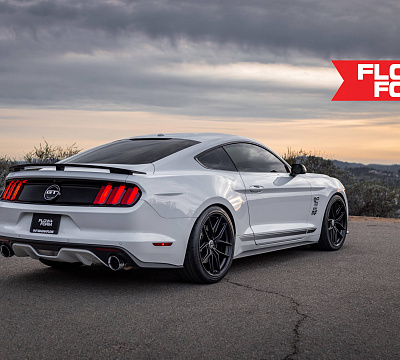 Фото дисков HRE FF21 на Ford Mustang VI