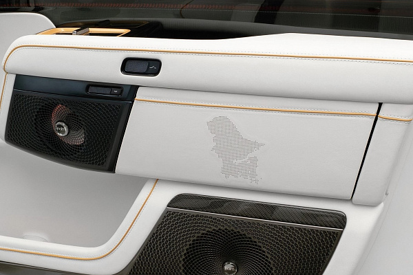 Фото дисков Mansory FT.19  на Zeekr 9X