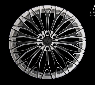 Avant Garde AGL30