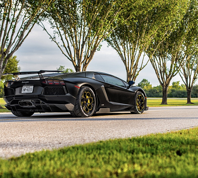 Savini SV69