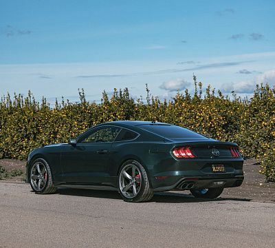 Фото дисков American Racing TTF на Ford Mustang VI