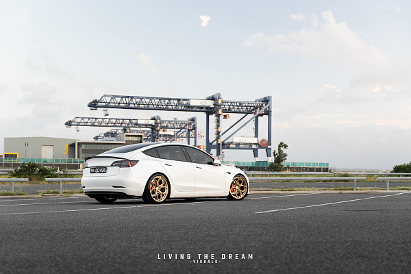 Фото дисков HRE P111SC Глянцевая шампань на Tesla Model 3