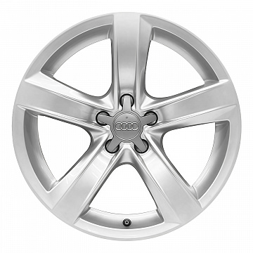 Кованые диски Audi 5 Dynamic Spoke v1