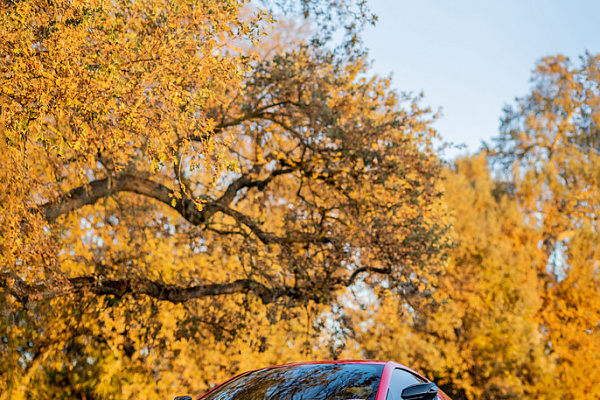 Chevrolet Corvette C8
