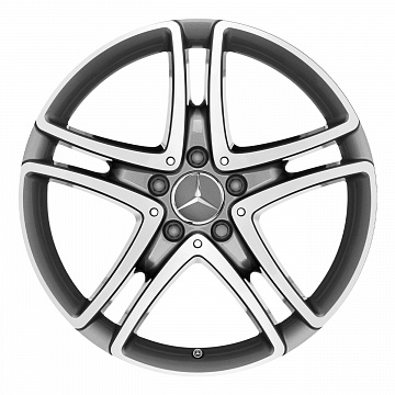 Кованые диски Mercedes-Benz  5 Twin Spoke v27