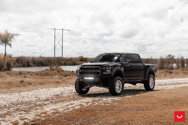 Ford F-150 XIII