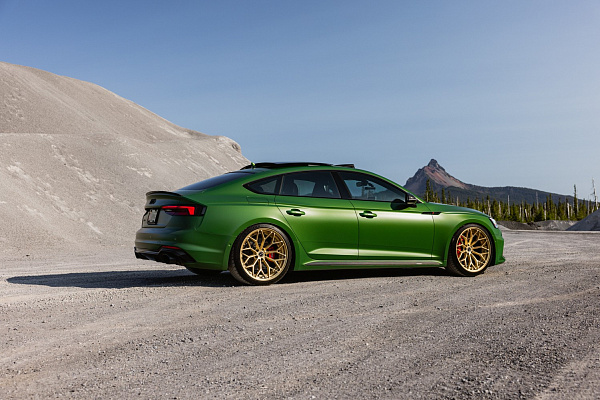 Фото дисков Brixton Forged CM6-R Сатиновая шампань на Audi A/S/RS 5 (F5)