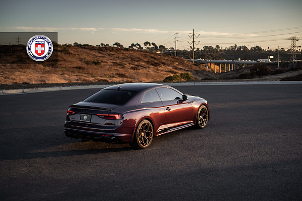 Фото дисков HRE P111SC Глянцевая бронза на Audi A/S/RS 5 (F5)