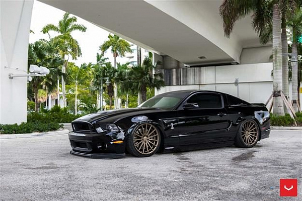 Ford Mustang V