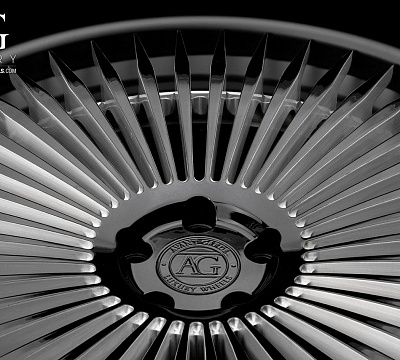 Avant Garde AGL45