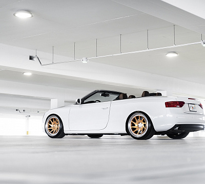 Rotiform OZT