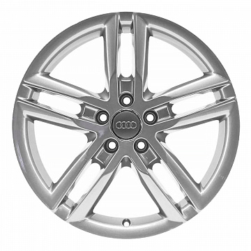 Кованые диски Audi 5 Double Spoke v9
