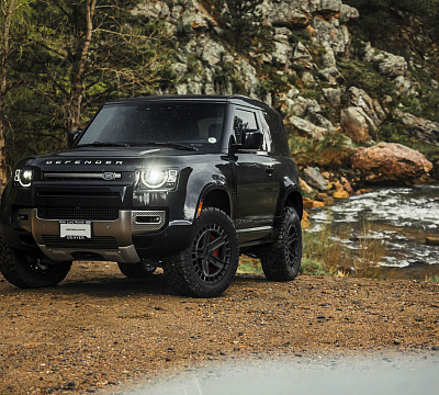 Black Rhino ALSTON