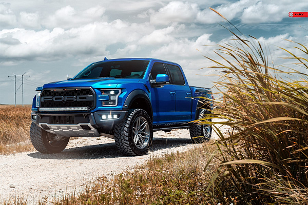 Фото дисков Anrky AN36 Сатиновый лак на Ford F-150 XIII