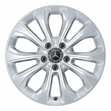 Кованые диски Mercedes-Benz 5 Double Spoke v2