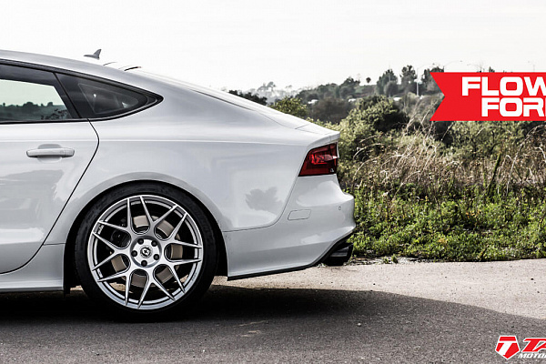 Фото дисков HRE FF01 Серебро на Audi A/RS 7 (4G)