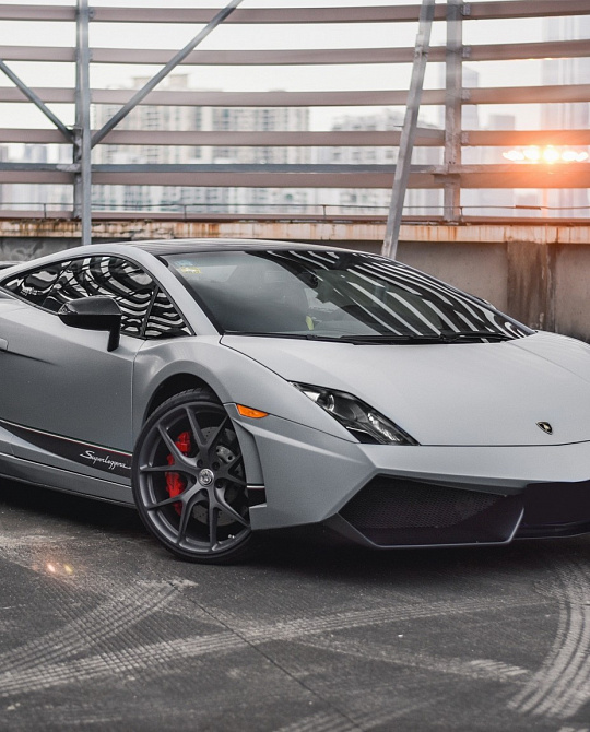Фото дисков P101 Сатиновый графит на Lamborghini Gallardo