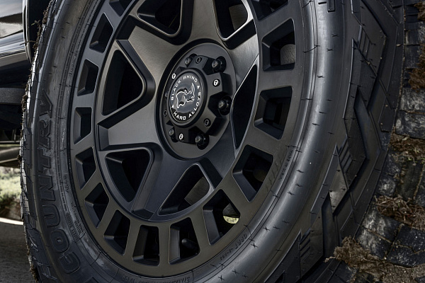 Фото дисков Black Rhino YORK Черный сатин на Ford F-150 XIV