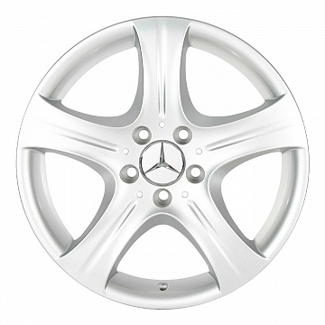 Кованые диски Mercedes-Benz 5 Spoke v1