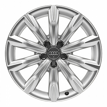 Кованые диски Audi 10 Spoke v28