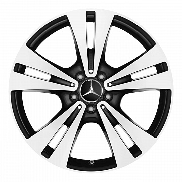 Кованые диски Mercedes-Benz 5 Twin Spoke v22