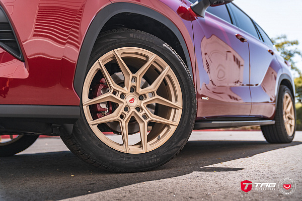 Фото дисков Vossen EVO-4 Сатиновая шампань на Toyota Highlander U70