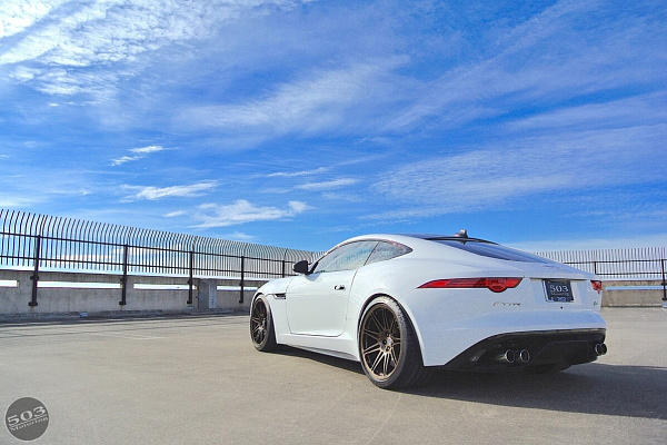 Фото дисков HRE 301M Глянцевая бронза на Jaguar F-Type