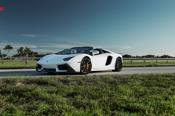 Фото дисков Anrky AN28 Глянцевый темный лак на Lamborghini Aventador