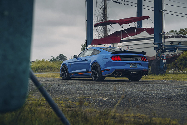 Фото дисков American Racing TTF Черный глянец на Ford Mustang VI