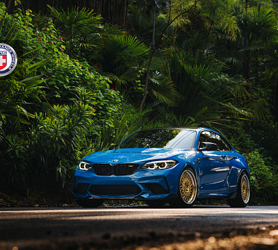 Фото дисков HRE 501 на BMW 2/M2 (F22/F87)